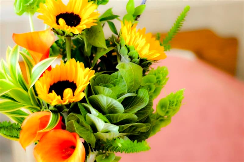 Photo of San Luis Transitional Care