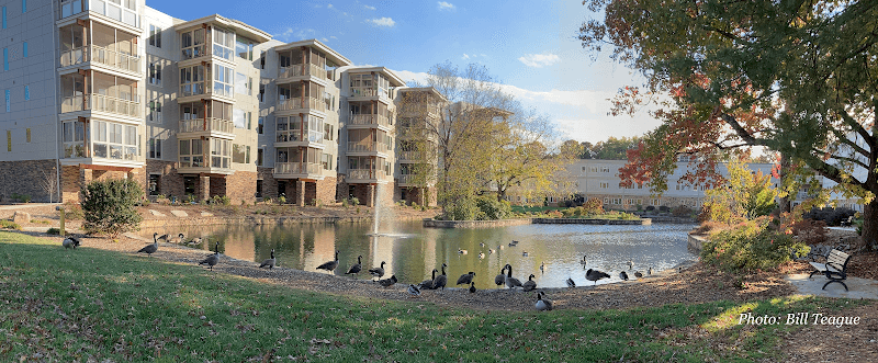 Photo of Carolina Village Inc