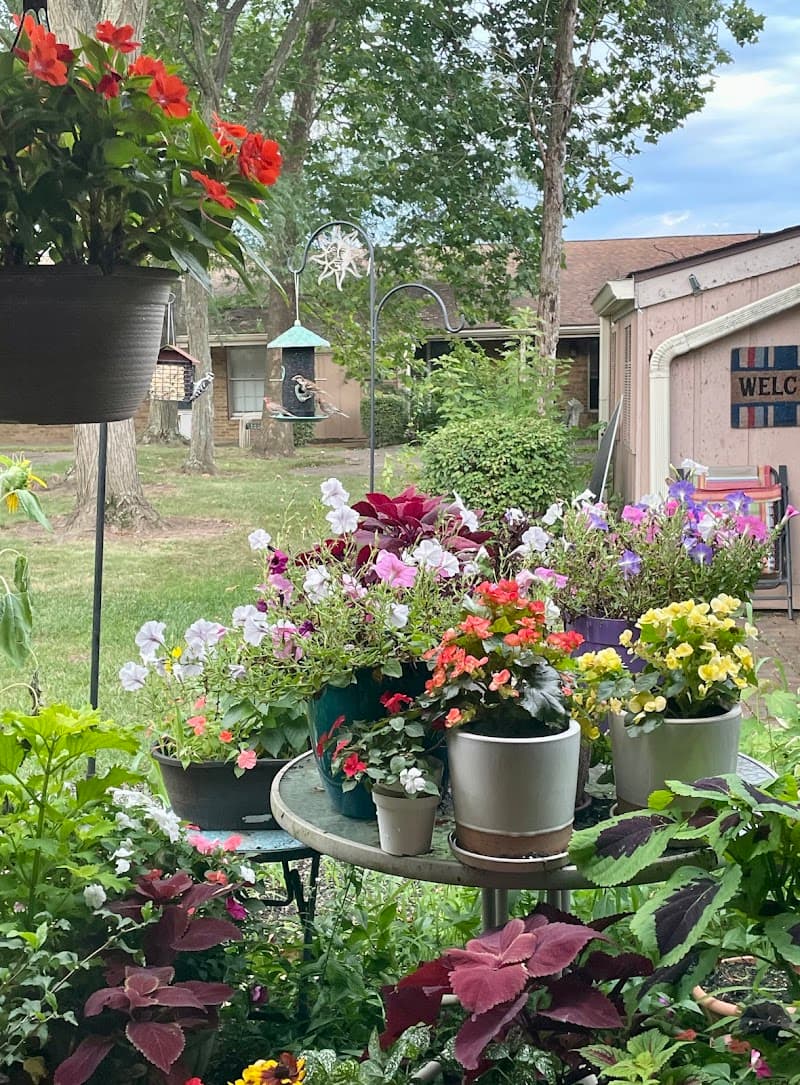 Photo of CENTERVILLE HEALTH AND REHAB