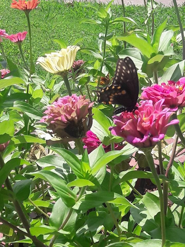 Photo of Southern Hills Rehabilitation Center