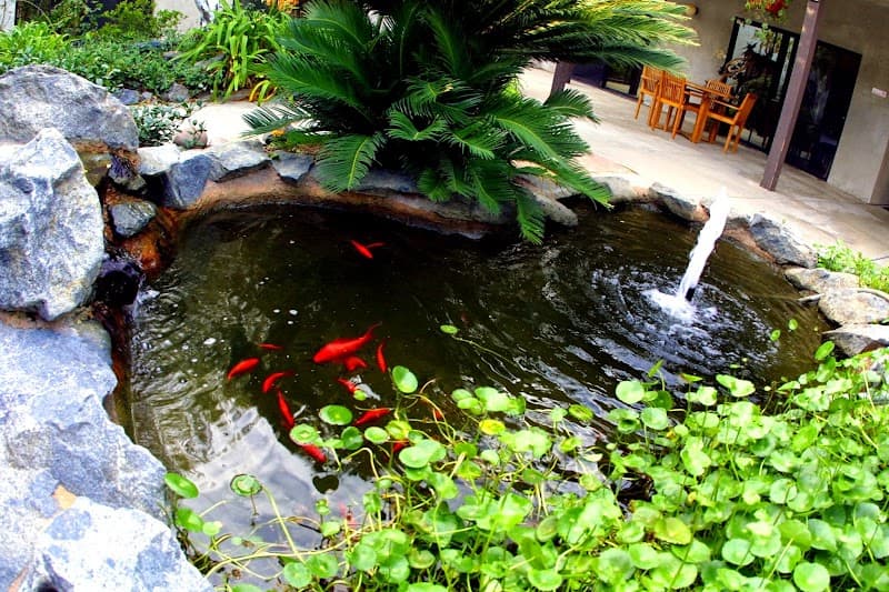 Photo of STANFORD COURT SKILLED NURSING & REHAB CENTER