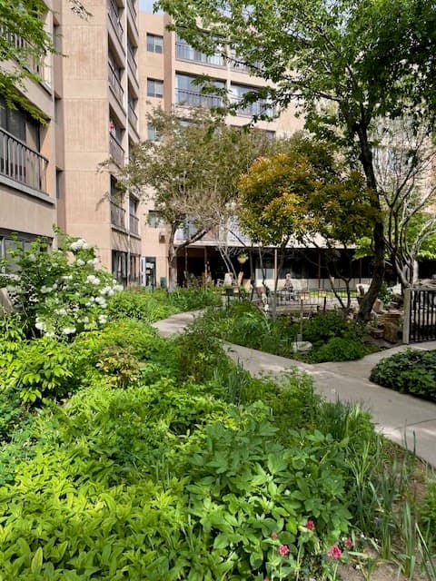 Photo of Manzano Del Sol by Purehealth