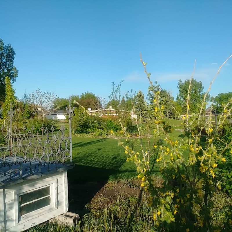 Photo of PELICAN POINTE HEALTH AND REHABILITATION CENTER