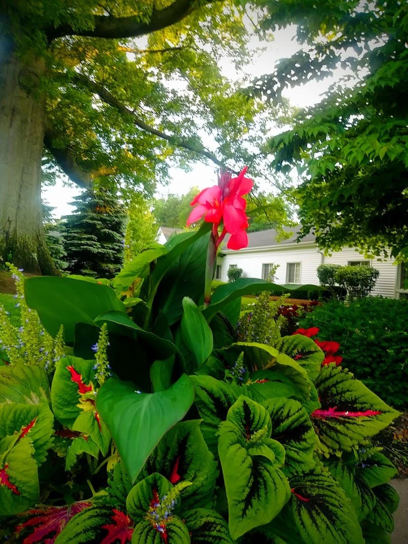 Photo of RAE-ANN WESTLAKE