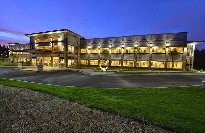 Photo of SALUDE - THE ART OF RECOVERY