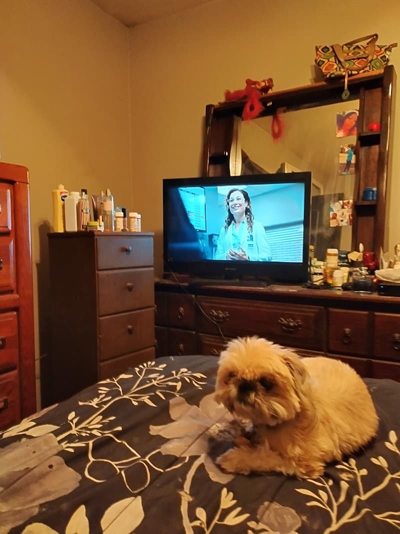 Photo of ARLINGTON RESIDENCE AND REHABILITATION CENTER