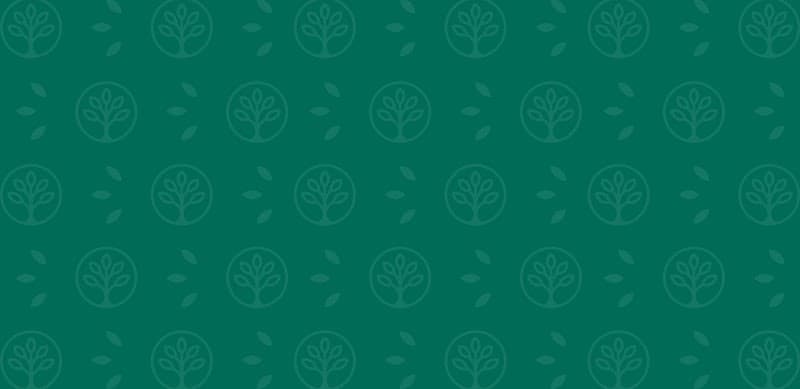 Photo of PARK TERRACE REHABILITATION CENTER