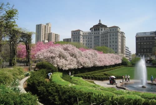 Photo of TERENCE CARDINAL COOKE HEALTH CARE CENTER